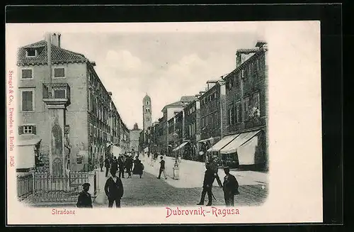 AK Dubrovnik, Stradone