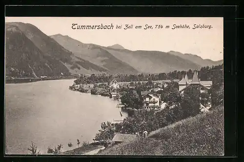 AK Tummersbach b. Zell am See, Seeufer gegen Berglandschaft