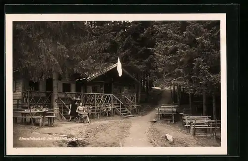 AK Zell am See, Almwirtschaft im Köhlnergraben