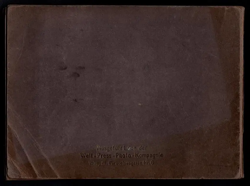 Fotoalbum mit 23 Fotografien, Ansicht Wien, Eucharistische Festwoche 1912, Kaiser Franz Joseph I., Josef Neumayer u.a. 13