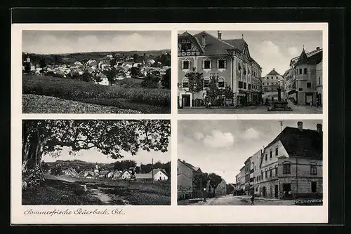 AK Peuerbach, Strassenpartie, Ortspartie mit Brunnen, Panorama