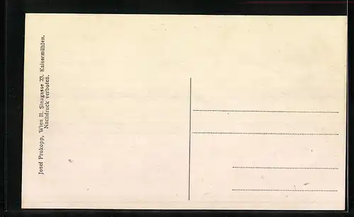 Künstler-AK Hofkirchen, Strassenpartie am Marktplatz