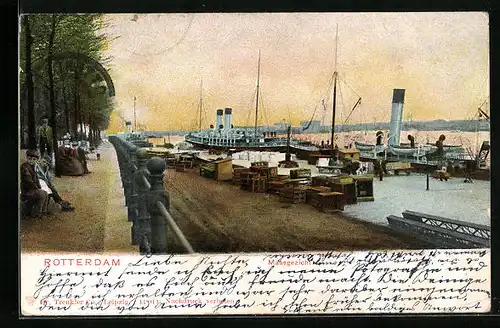 AK Rotterdam, Maasgezicht