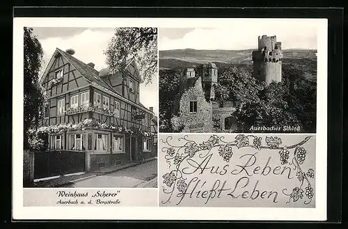 AK Auerbach / Bergstrasse, Gasthof Weinhaus Scherer, Auerbacher Schloss