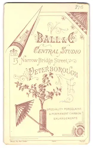 Fotografie Ball & Co., Peterborough, Narrow Bridge Street 13, Rosenstrauch mit Sonnenschirm