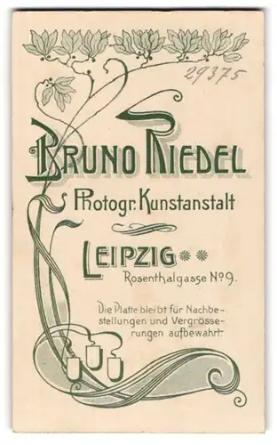 Fotografie Bruno Riedel, Leipzig, Rosenthalgasse 9, Verschnörkelt wachsende Wasserlilie im Jugendstil