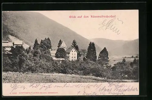 AK Kümmelbacherhof, Haus zwischen Nadelbäumen