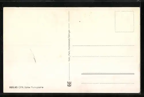 AK Worms /Rhein, Ehrenmal des Inf. Regts. 118