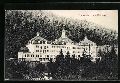 AK Hausstein, Sanatorium im Nadelwald