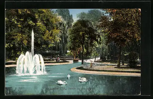 AK Lahr, Partie in dem Stadtpark mit Schwänen