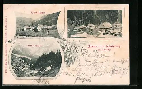 AK Niederalpl b. Mürzsteg, Kleine Tonion, Hohe Veitsch, Ortspartie