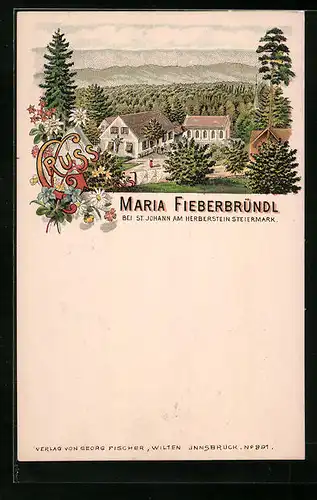 Lithographie Maria Fieberbründl b. St. Johann, Ortspartie mit Gasthaus