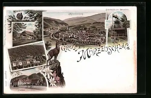 Lithographie Mürzzuschlag, Hôtel Lambach, Kurhaus, Schutzhütte am Gamsstein