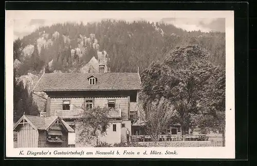 AK Frein /Mürz, Gasthaus am Neuwald