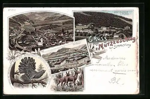 Lithographie Mürzzuschlag, Kurhaus, Hotel Lambach u. Villen, Totalansicht