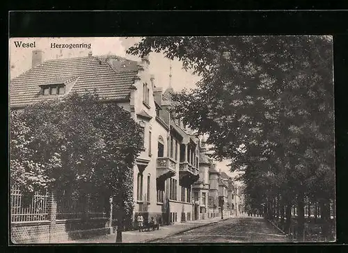 AK Wesel, Strassenpartie am Herzogenring