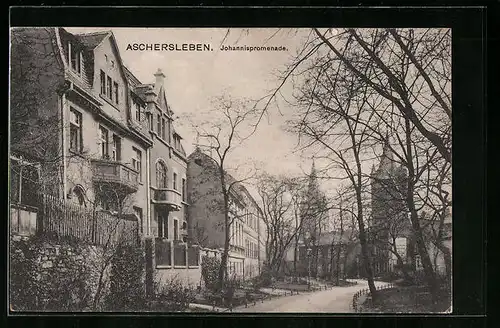 AK Aschersleben, Strassenpartie in der Johannispromenade