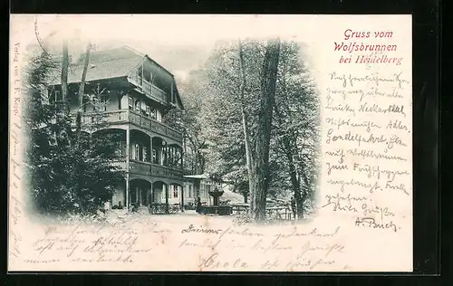 AK Heidelberg, Gasthaus zum Wolfsbrunnen