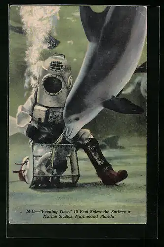 AK Marineland, Florida, Feeding Time, 15 Feet Below the Surface at Marine Studios, Taucher mit einem Delfin