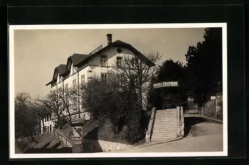 AK Neuhausen am Rheinfall, Hotel Oberberg