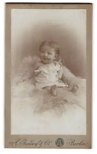 Fotografie A. Jandorf & Co., Berlin-N. Brunnen-Str. 19-21, Süsses Kleinkind im Hemd sitzt auf Fell