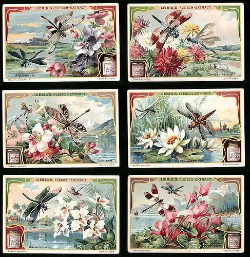 6 Sammelbilder Liebig, Serie Nr. 896: Orchideen, Azaleen, Libellen