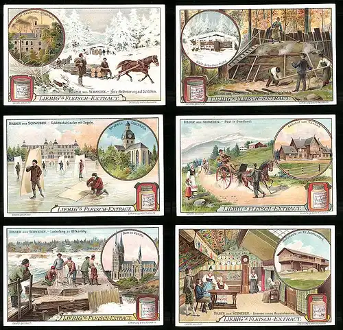 6 Sammelbilder Liebig, Serie Nr. 869: Bilder aus Schweden, Jemtland, Lachsfang, Stockholm