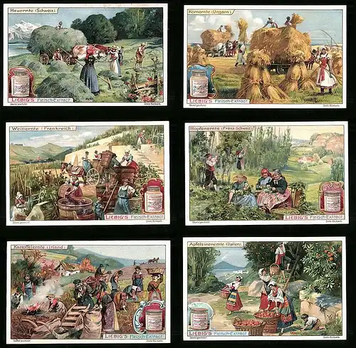 6 Sammelbilder Liebig, Serie Nr. 944: Ernten, Apfelsinenernte, Kartoffelernte, Ungarn
