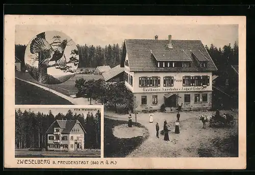 AK Zwieselberg / Freudenstadt, Gasthaus zum Auerhahn und Villa Waldesruh