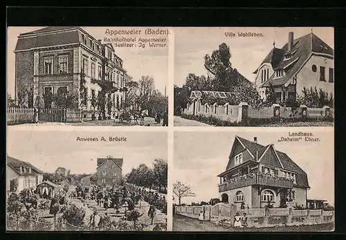 AK Appenweier /Baden, Ansichten Anwesen Brüstle, Landhaus Daheim und Villa Wohlleben