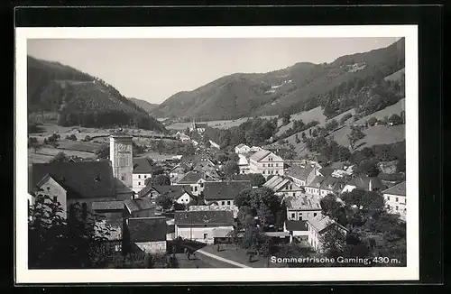 AK Gaming, Teilansicht