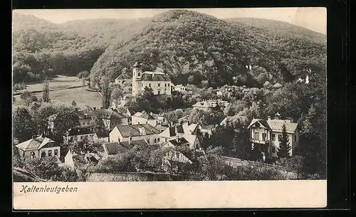 AK Kaltenleutgeben, Teilansicht mit Kirche