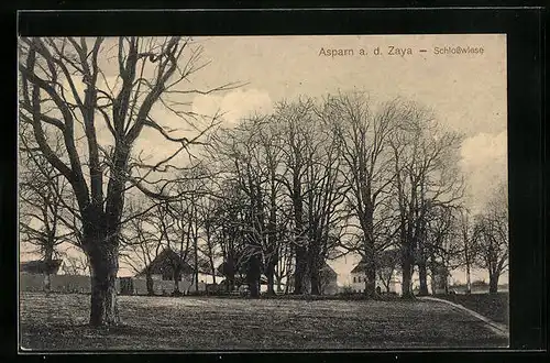 AK Asparn a. d. Zaya, Schlosswiese