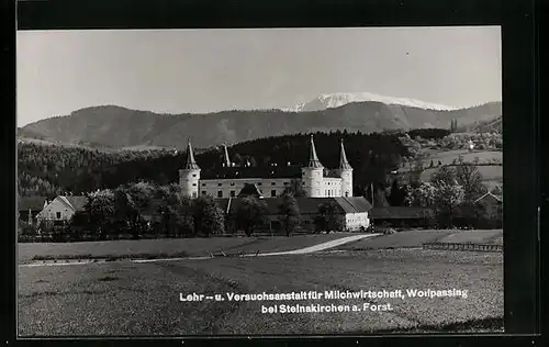 AK Wolfpassing b. Steinakirchen, Lehr- u. Versuchanstalt Milchwirtschaft