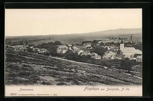 AK Fischau am Steinfelde, Panorama mit Kirche