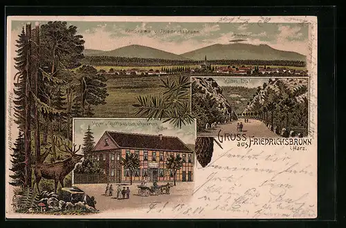 Lithographie Friedrichsbrunn /Harz, Meyer`s Gasthaus zum schwarzen Adler, Kaltes Tal, Panorama