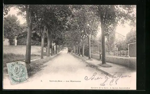 AK Sucy-en-Brie, Rue Montaleau