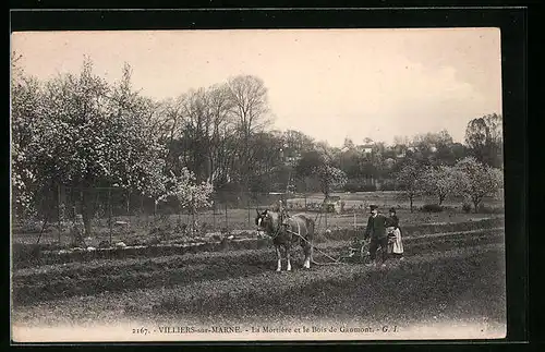 AK Villiers-sur-Marne, La Mortière et le Bois de Gaumont