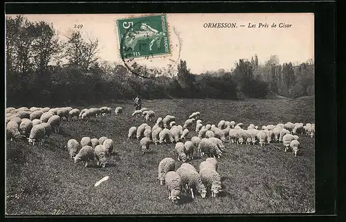 AK Ormesson, Les Près de Cèsar