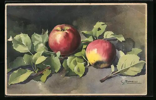 Künstler-AK S. Bonelli: Zwei Äpfel mit Blättern