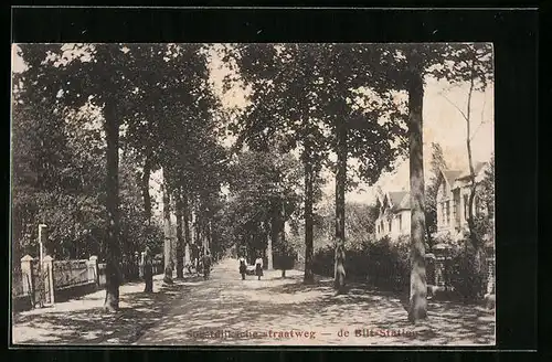 AK De Bilt, Soestdijksche straatweg