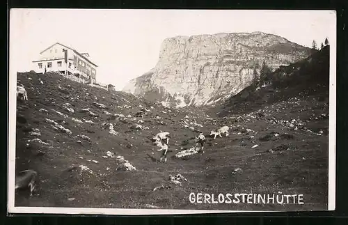 AK Gerlossteinhütte, Berghütte mit Blick zu einer Felswand