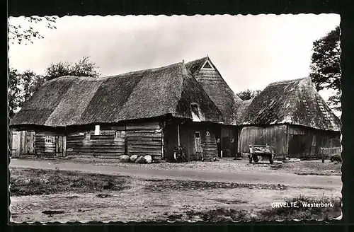 AK Orvelte, Westerbork