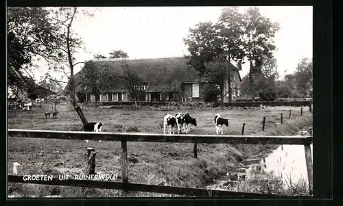 AK Ruinerwold, Dorpsgezicht