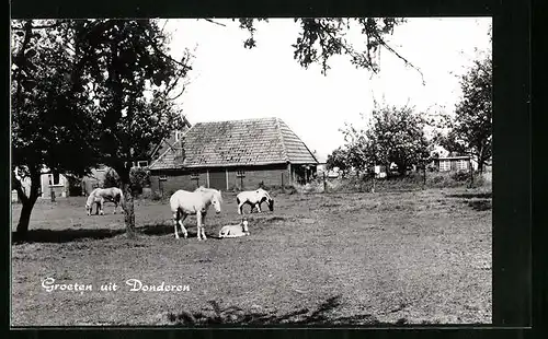 AK Donderen, Dorpsgezicht