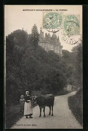 AK Montigny-le-Gennelon, Le Chateau