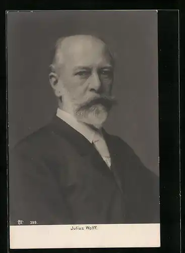 AK Portrait des Schriftstllers Julius Wolff