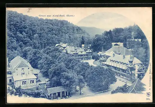 AK Alexisbad / Harz, Totale aus der Vogelschau