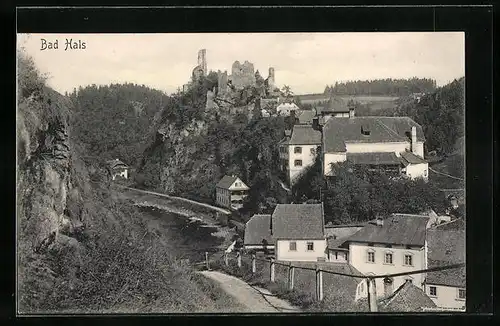 AK Bad Hals, Teilansicht mit Burgruine