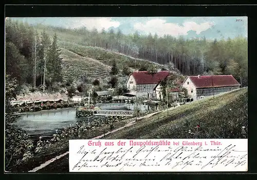 AK Eisenberg in Thür., Blick zur Naupoldsmühle